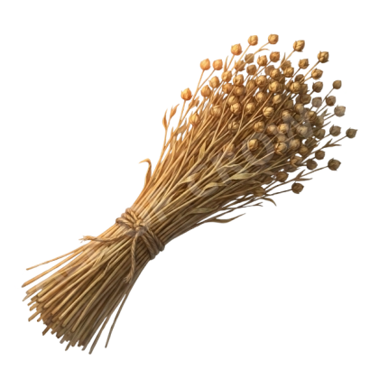 Flax