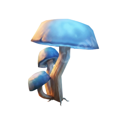 Veilcap Mushroom